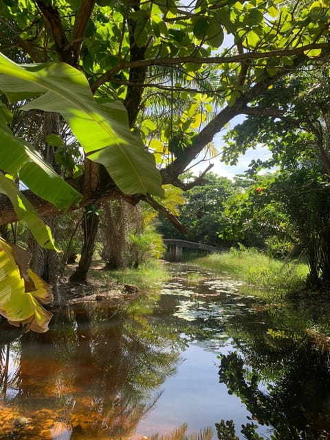 Natural landscape, River view