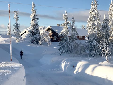 Property building, Natural landscape, Winter