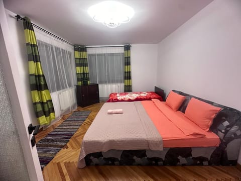 Camelia's Apartment Vacation rental in Cluj-Napoca