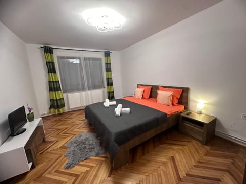 Camelia's Apartment Alojamento de férias in Cluj-Napoca