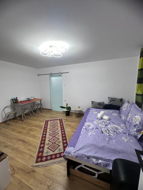 Camelia's Apartment Urlaubsunterkunft in Cluj-Napoca