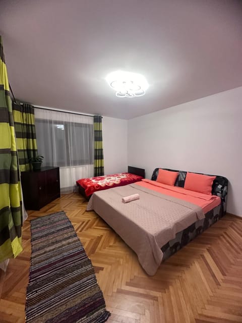 Camelia's Apartment Vacation rental in Cluj-Napoca