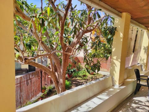 Garden, Balcony/Terrace, Garden view