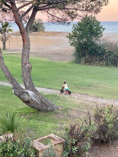 Day, Garden, Beach, Garden view, Sea view