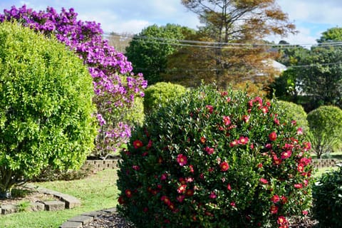 Natural landscape, Garden, Garden view