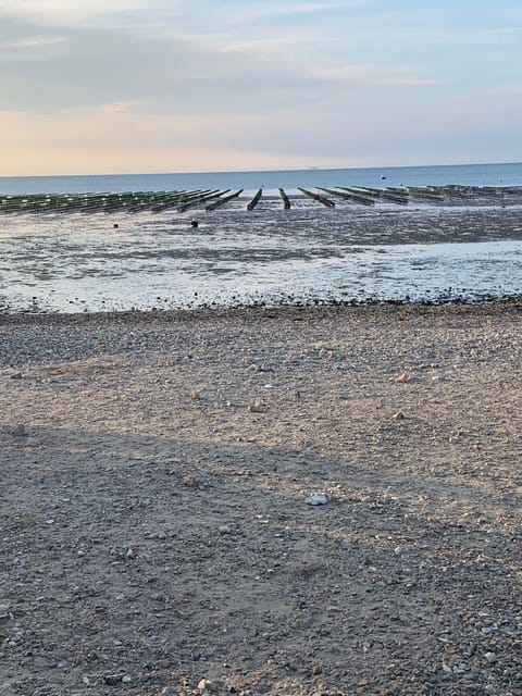 Natural landscape, Beach, Sea view