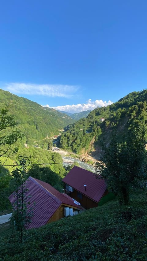 Spring, Day, Natural landscape, Mountain view