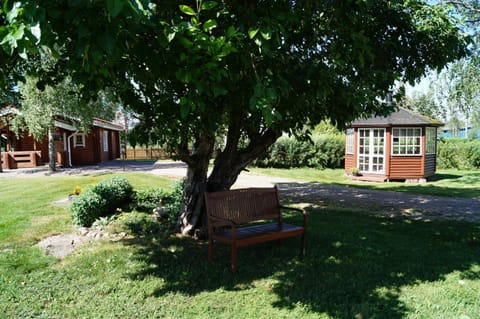 Property building, Day, Neighbourhood, Summer, Garden, On site