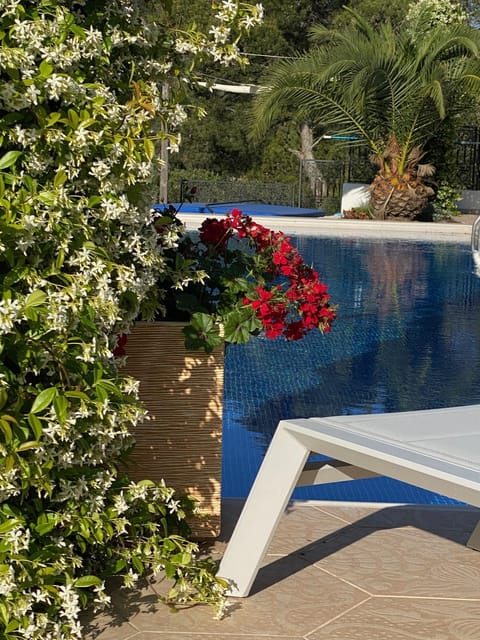 Day, Garden, Garden view, Pool view, Swimming pool, sunbed