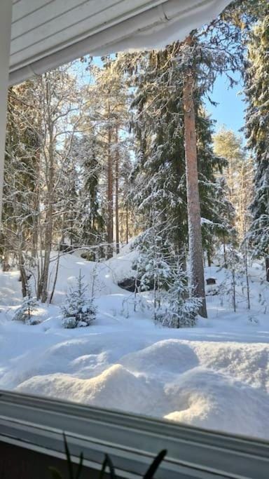 Coloria - kotisi Rovaniemellä, luonnollisesti Chalet in Rovaniemi