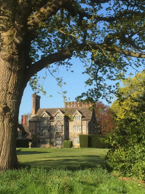 Property building, Garden view