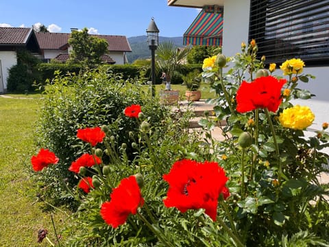 Property building, Garden view