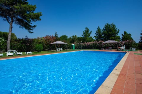 Garden, Swimming pool, Entertainment, sunbed