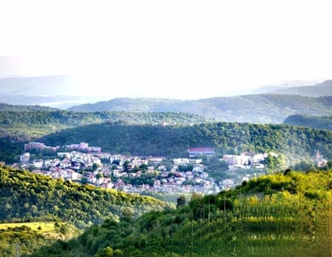 Complex ARBANASHKI STYLE-Panoramic View with Summer and Winter terrace, Children's and Adult Area with Cinema Summer Bed and Breakfast in Veliko Tarnovo