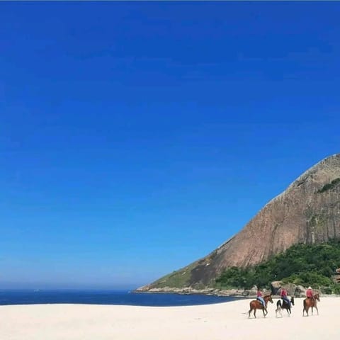 Natural landscape, Beach, Animals, Mountain view, Sea view