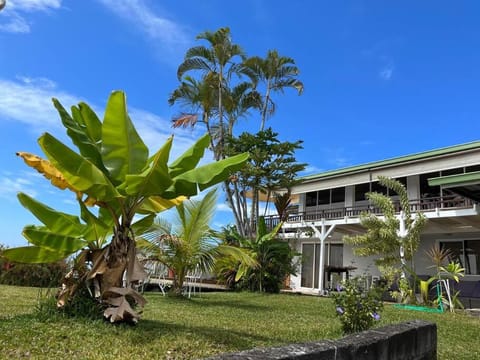 Property building, Day, Garden