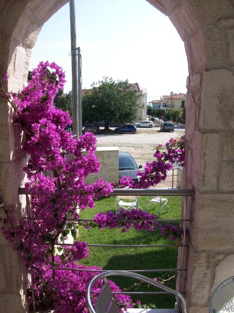 Garden, Garden view