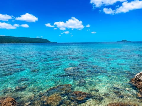 Natural landscape, Snorkeling