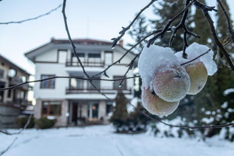 Property building, Winter