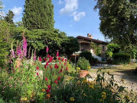 Property building, Garden, Garden view