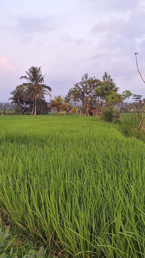 The Sari Pulagan Villa Villa in Tampaksiring