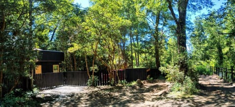 Tree lodge molco House in Los Ríos, Chile