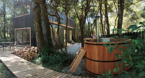 Tree lodge molco House in Los Ríos, Chile