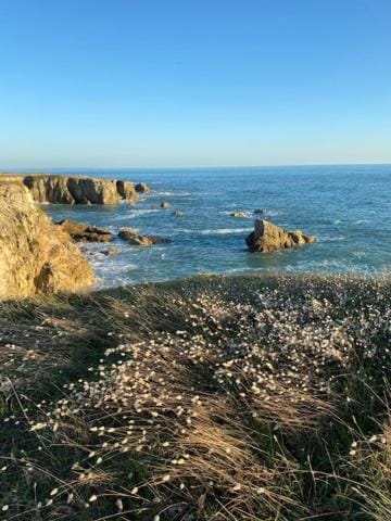 Studio agréable 300m Côte Sauvage Apartment in Le Pouliguen