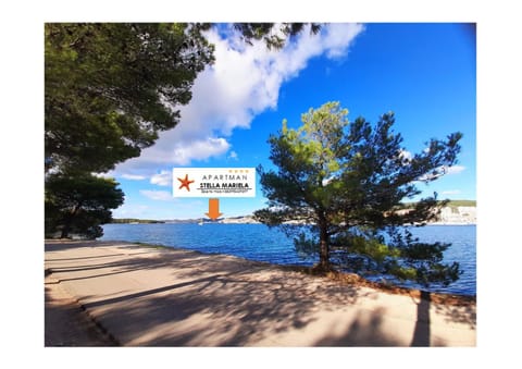 Neighbourhood, Natural landscape, Beach