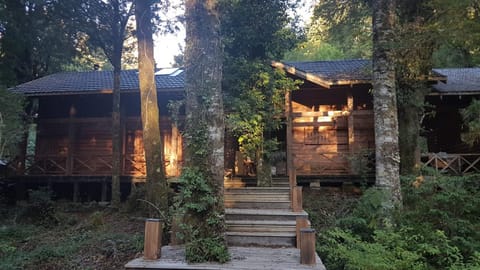 Property building, Spring, Garden view