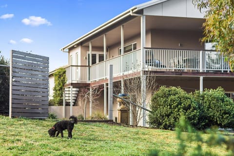 Property building, Garden, Pets, Garden view