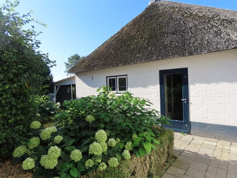 B & B de Pinguin Bed and Breakfast in Overijssel (province)