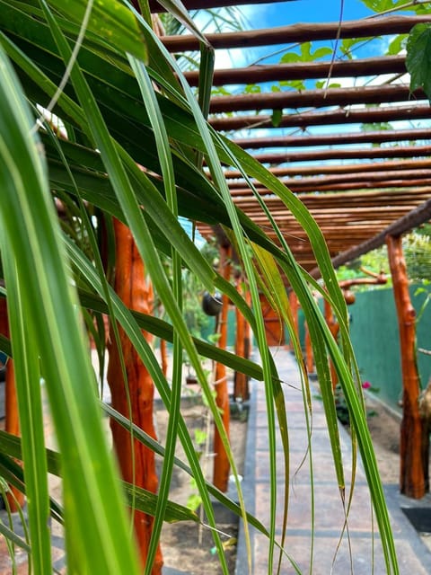Imperio dos Bambus Suites Auberge in Jijoca de Jericoacoara