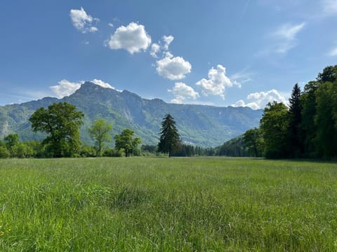 Natural landscape, Mountain view