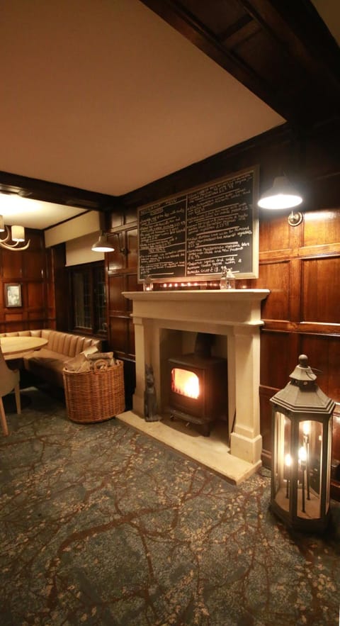 Lounge or bar, fireplace