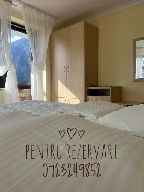 Vila Alunis Bed and Breakfast in Prahova, Romania