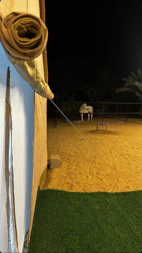 استراحة واحة الختم Campground/ 
RV Resort in Abu Dhabi