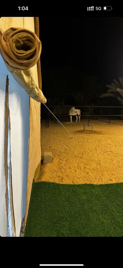 استراحة واحة الختم Campground/ 
RV Resort in Abu Dhabi