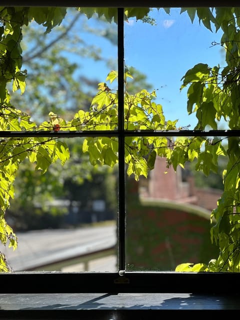 The Boston Ivy 1880 - The Residence Apartment in Mittagong