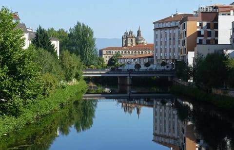 Ribeira Sacra apartamento Apartment in Monforte de Lemos