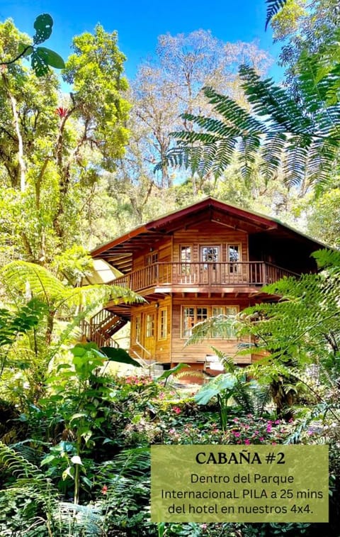 Los Quetzales Ecolodge & Spa Hotel in Bocas del Toro Province