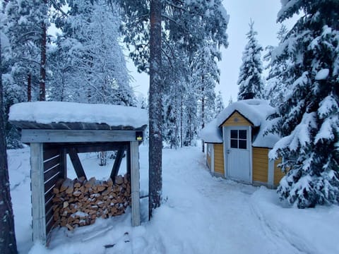 Day, Natural landscape, Winter