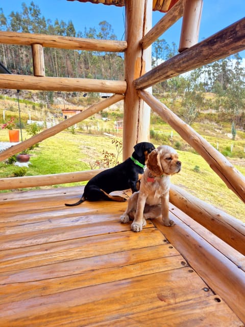 Hermosa y Nueva Cabaña de campo - La Candelaria Farm House Chalet in Azuay