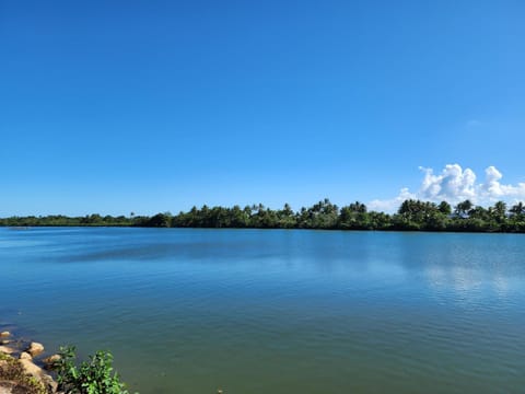 Day, Natural landscape, River view