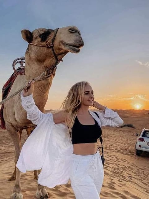 Desert Safari Jaisalmer Hotel in Sindh
