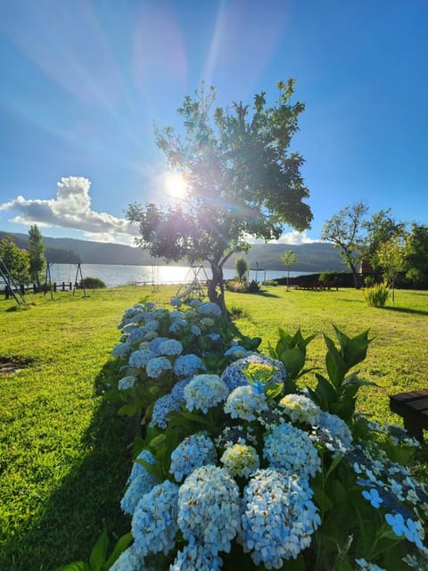 Bordelago Lago Lanalhue House in Araucania, Chile