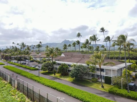 Kauai One Bedroom Apartment with Kitchen - Free Wifi & Parking Condo in Wailua