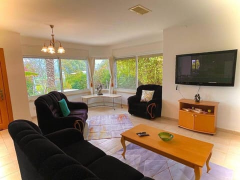 TV and multimedia, Living room, Seating area, Garden view