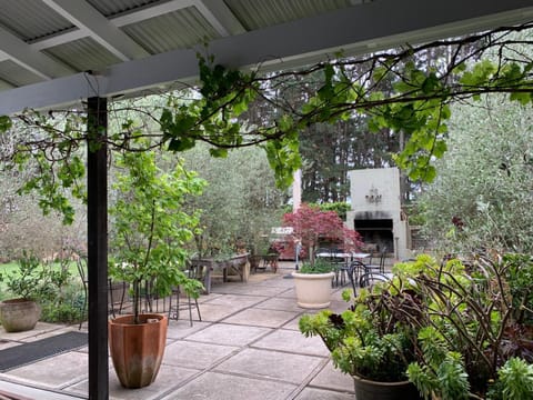 BBQ facilities, Garden, Inner courtyard view, fireplace