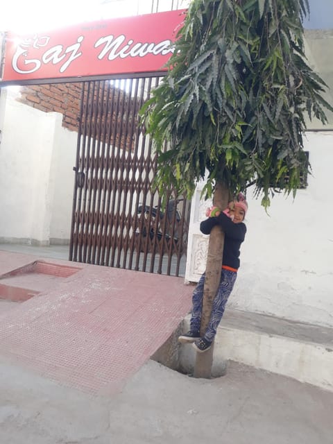 Gaj niwas hotel and restaurant,udaipur,rajasthan Übernachtung mit Frühstück in Udaipur